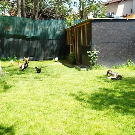 Garden Βουκουρέστι