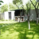 Garden Bukarest