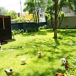 Hotel Garden