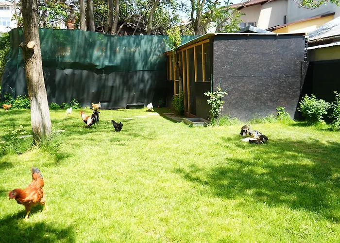 Garden Bukarest